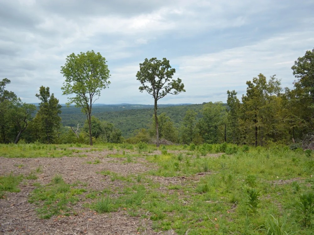166 Ac OK Hunting Ranch in the Brushy Mountains featured image