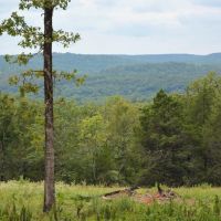 166 Ac OK Hunting Ranch in the Brushy Mountains images 2