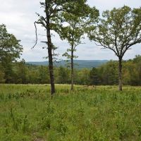 166 Ac OK Hunting Ranch in the Brushy Mountains images 3