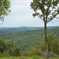 166 Ac OK Hunting Ranch in the Brushy Mountains images 4