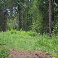 166 Ac OK Hunting Ranch in the Brushy Mountains images 5