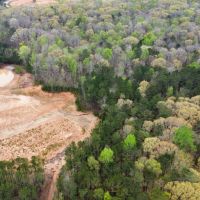 48.5 - Acres - Carroll County images 5