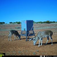 Motley Draw Ranch images 2