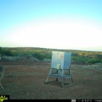 Motley Draw Ranch images 3