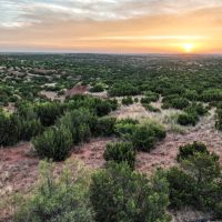 Motley Draw Ranch images 4