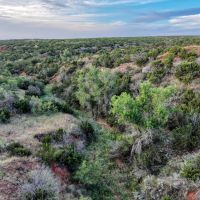 Motley Draw Ranch images 5