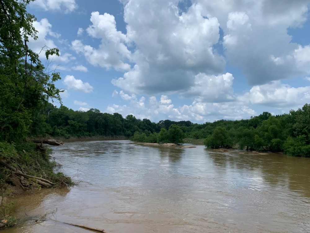 Cahaba River Duck Property featured image