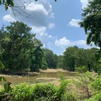 Cahaba River Duck Property images 4