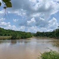 Cahaba River Duck Property images 5