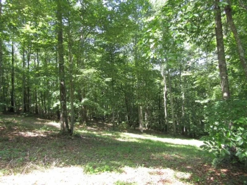 Lot 1 Western Way featured image