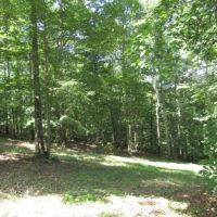 Lot 1 Western Way