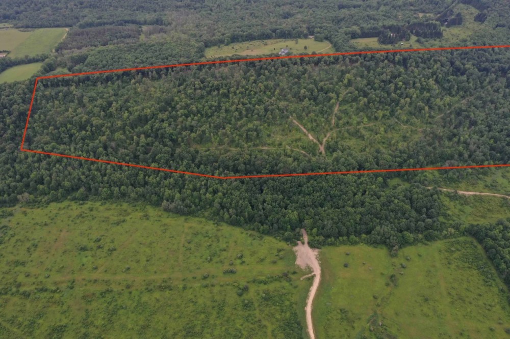 160 acres Hunting Land and Recreational Land with Creek and Views in Cuba NY CR-20 featured image