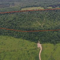 160 acres Hunting Land and Recreational Land with Creek and Views in Cuba NY CR-20 images 1