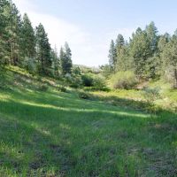Halverson Canyon Ranch images 5