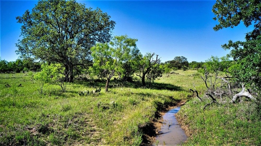 90 Acre GS Ranch Mason County Texas featured image
