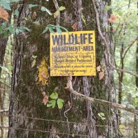 LA - Caldwell 11.35 acres -