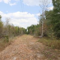 LA - Caldwell 11.35 acres - images 5