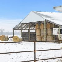527 Acres Wolf Tooth Ranch North Central MN - Lifestyle Income Investment Opportunties images 3