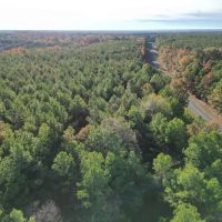 LA - Caldwell 507 acres - images 2
