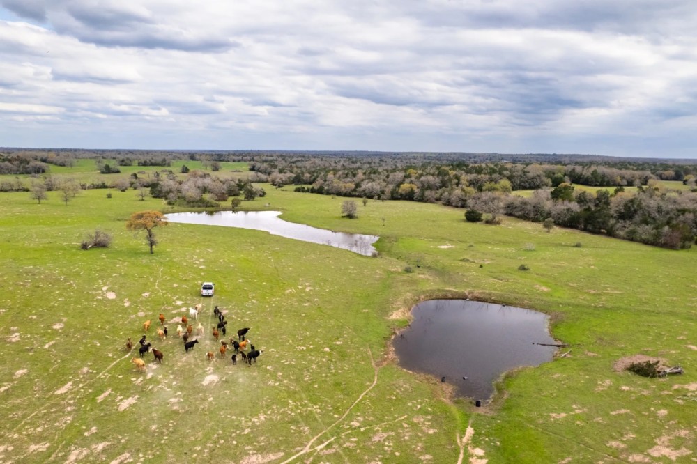 Bastrop Home Place featured image