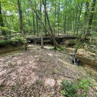 415.7 Acres in Perry County for Sale images 3