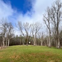 86 Acres in Webster County MS