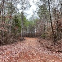 86 Acres in Webster County MS images 2