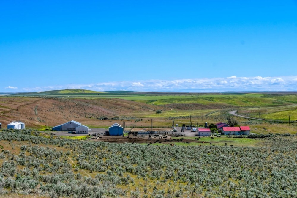 Stage Gulch Wagner Ranch featured image