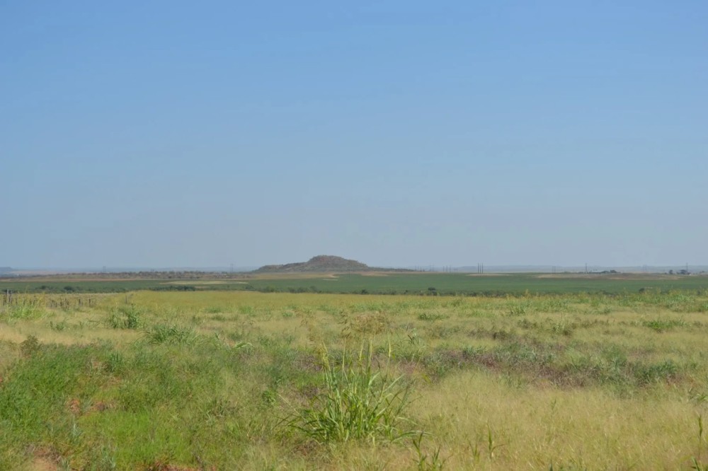 HUNTING PROPERTY LAND FOR SALE ESTELLINE TEXAS REALTREE featured image