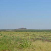 HUNTING PROPERTY LAND FOR SALE ESTELLINE TEXAS REALTREE images 1