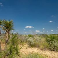 The Big Iron Ranch images 2
