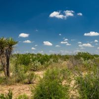 The Big Iron Ranch images 3