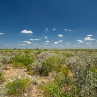 The Big Iron Ranch images 5