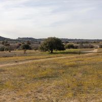 Trophy Whitetail and Cattle Ranch Outside Evant Texas images 4