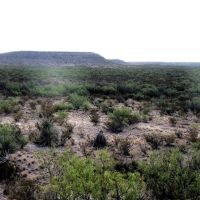 King Mountain Ranch near Midland TX images 5