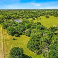 135 acres CR 221 Weimar TX Colorado County images 2