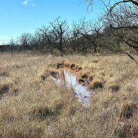 New Listing 37 - Acres Brown County images 5
