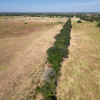 Price Improvement 59 - Acres Callahan County images 3
