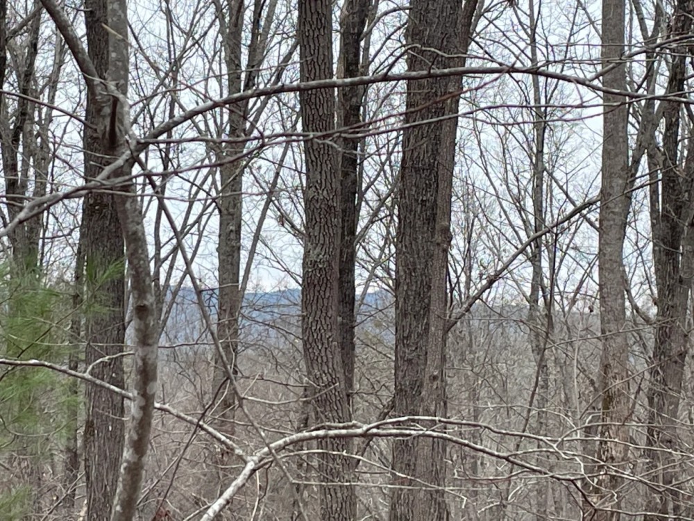 15 Acres with Mountain Views on Whitmire Church Road featured image