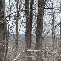15 Acres with Mountain Views on Whitmire Church Road