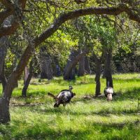 F3M Ranch images 2