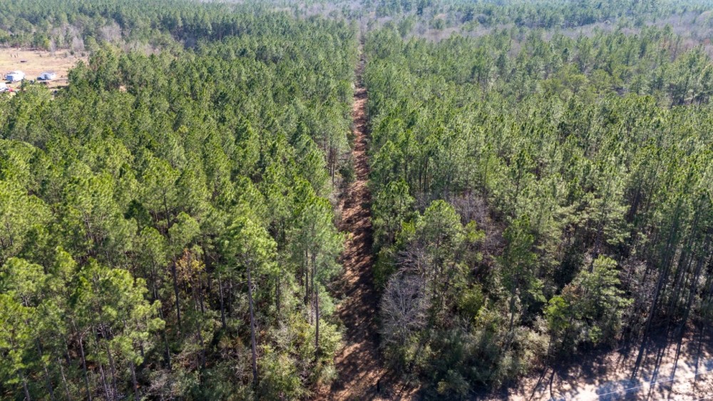 0 Whispering Pines Drive Lumberton Texas 77657 Hardin County featured image