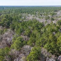 0 Whispering Pines Drive Lumberton Texas 77657 Hardin County images 3