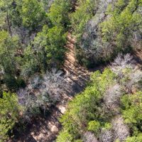 0 Whispering Pines Drive Lumberton Texas 77657 Hardin County images 4