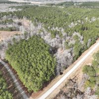 10.74 aces of Residential Land For Sale in Chowan County NC images 2
