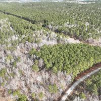 10.74 aces of Residential Land For Sale in Chowan County NC images 3