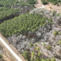 10.74 aces of Residential Land For Sale in Chowan County NC images 5