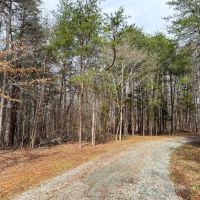 1.70 acre Homesite Lot in Central Alamance County NC images 4