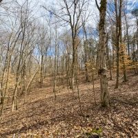 1.70 acre Homesite Lot in Central Alamance County NC images 5