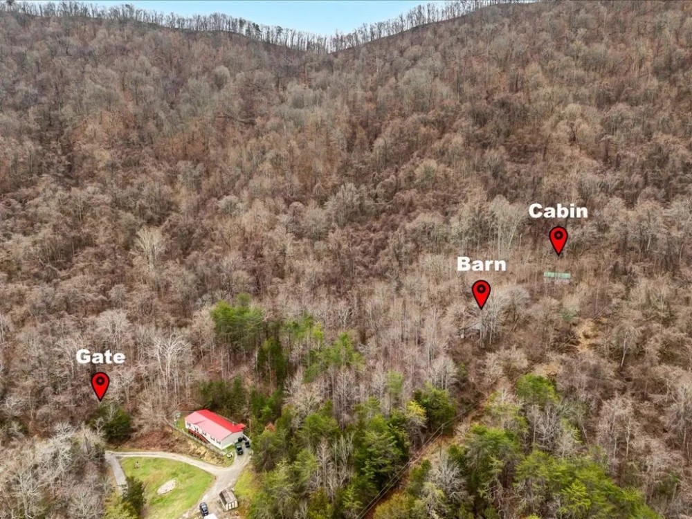 31 Acres with Cabin - Great Hunting Property featured image